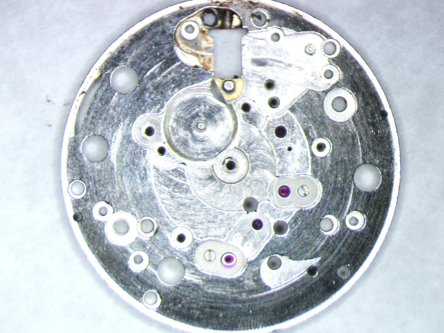 Wyler WM29 ETA1100 0100 Main Plate