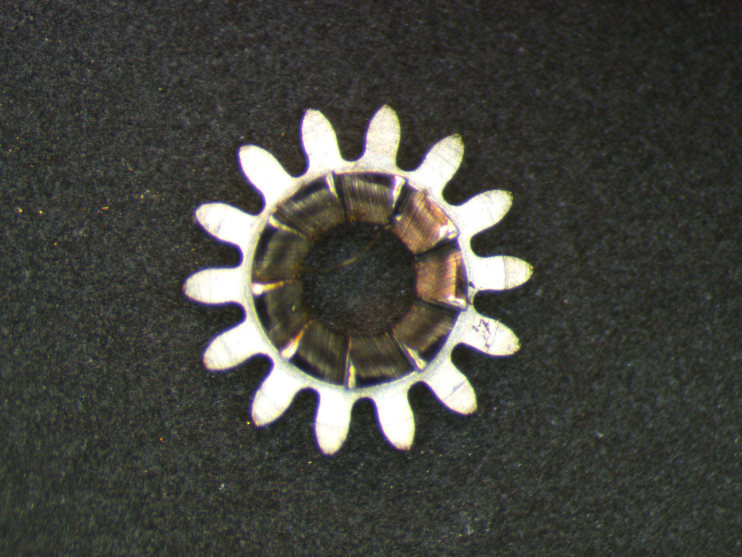 Longines 23Z 0410 Winding pinion
