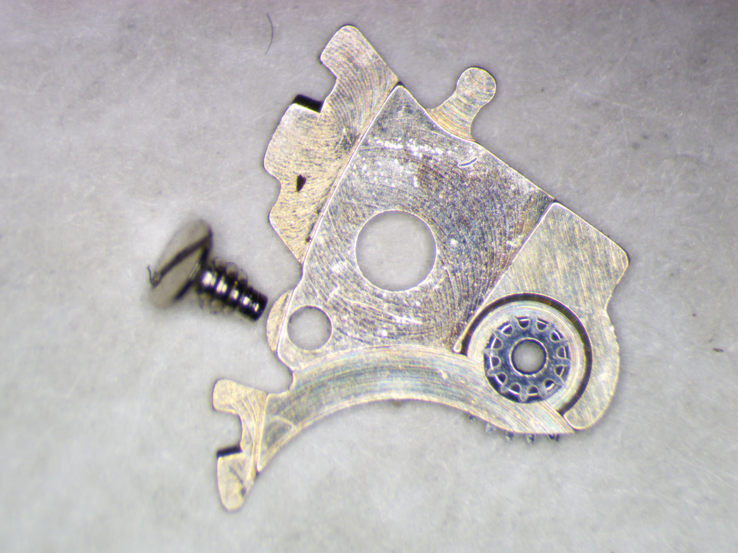 ETA 2824-2 2595 Date jumper maintaining plate w/screw