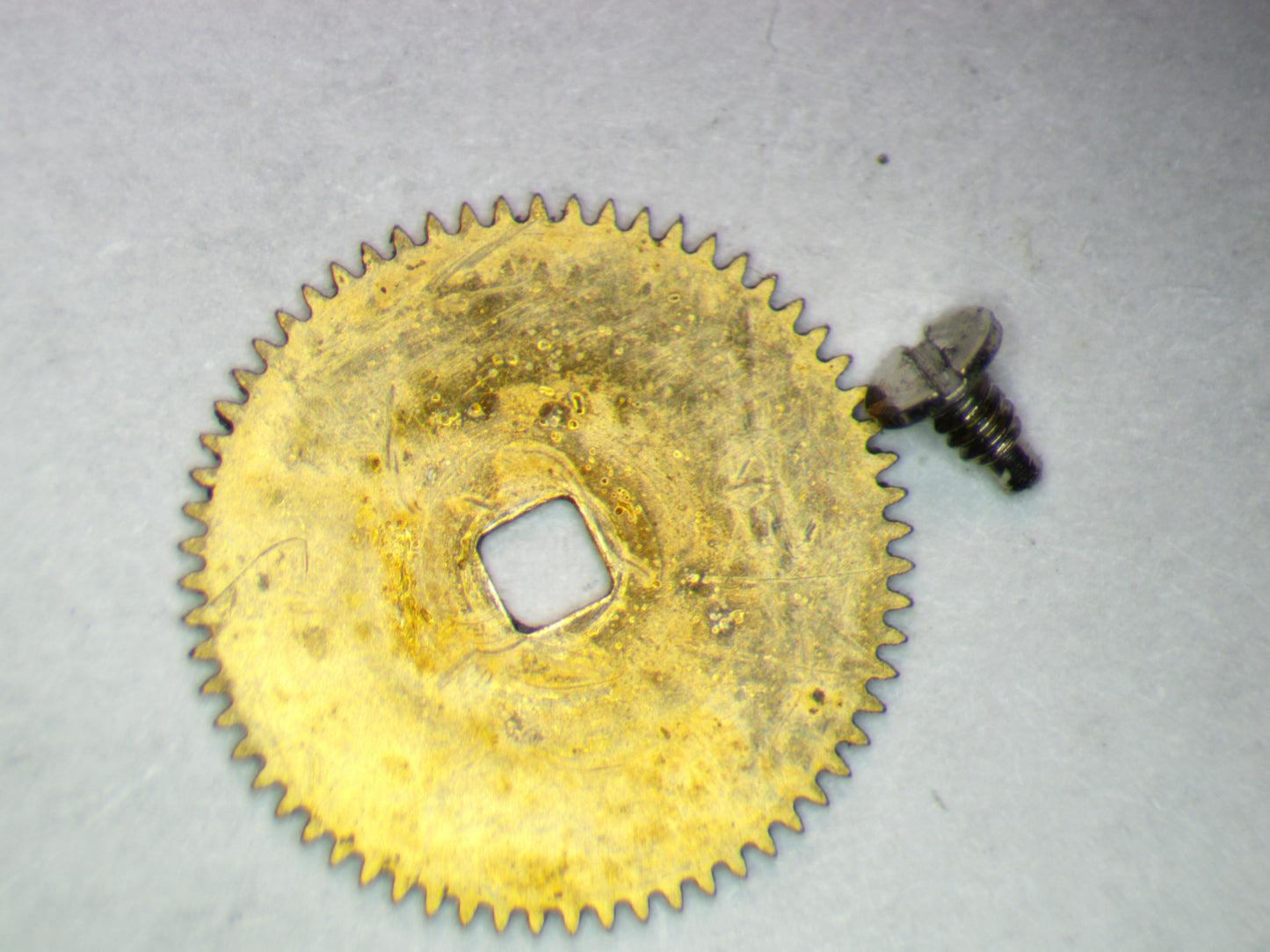 Hamilton 836 0415 Ratchet wheel w/screw
