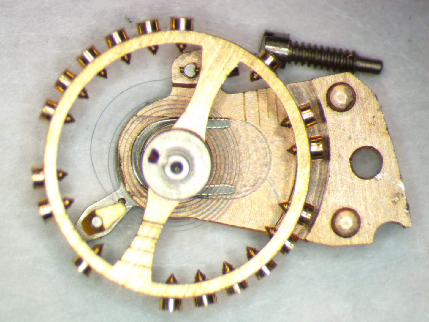 Omega 481 0721 Balance Complete