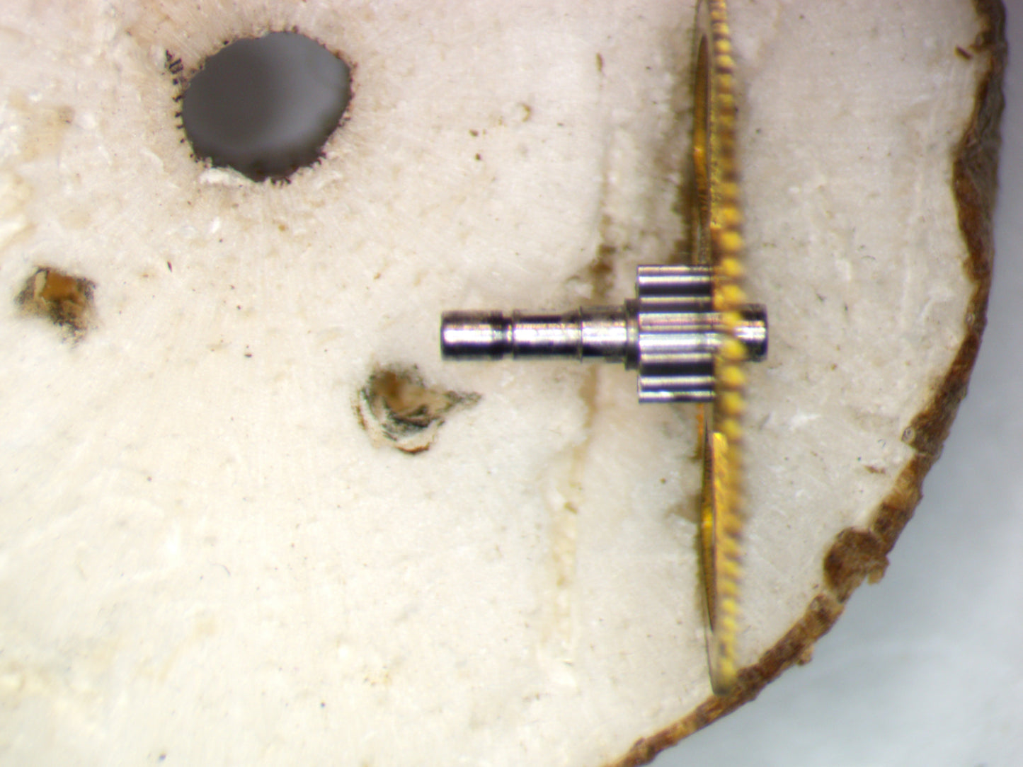 Venus 188 0206 Center wheel