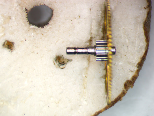 Venus 188 0206 Center wheel