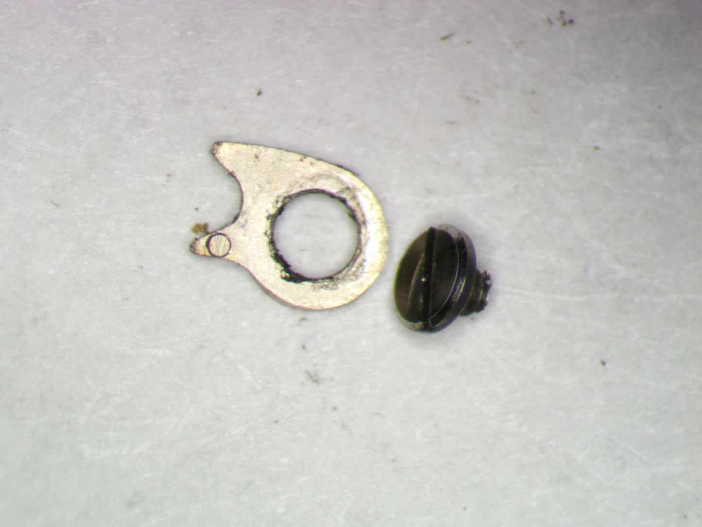 Hamilton 748 0425 Click w/screw