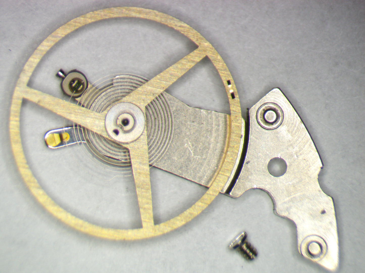 Hamilton 827 ETA 2789-1 0721 Balance Complete w/screw