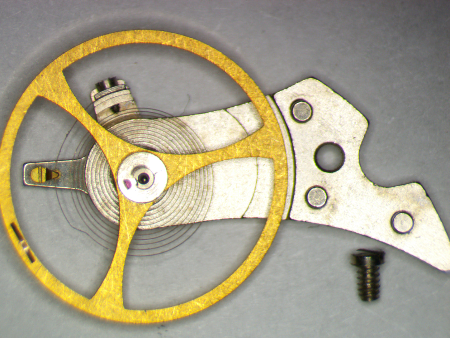 Hamilton 637 0721 Balance Complete w/screw