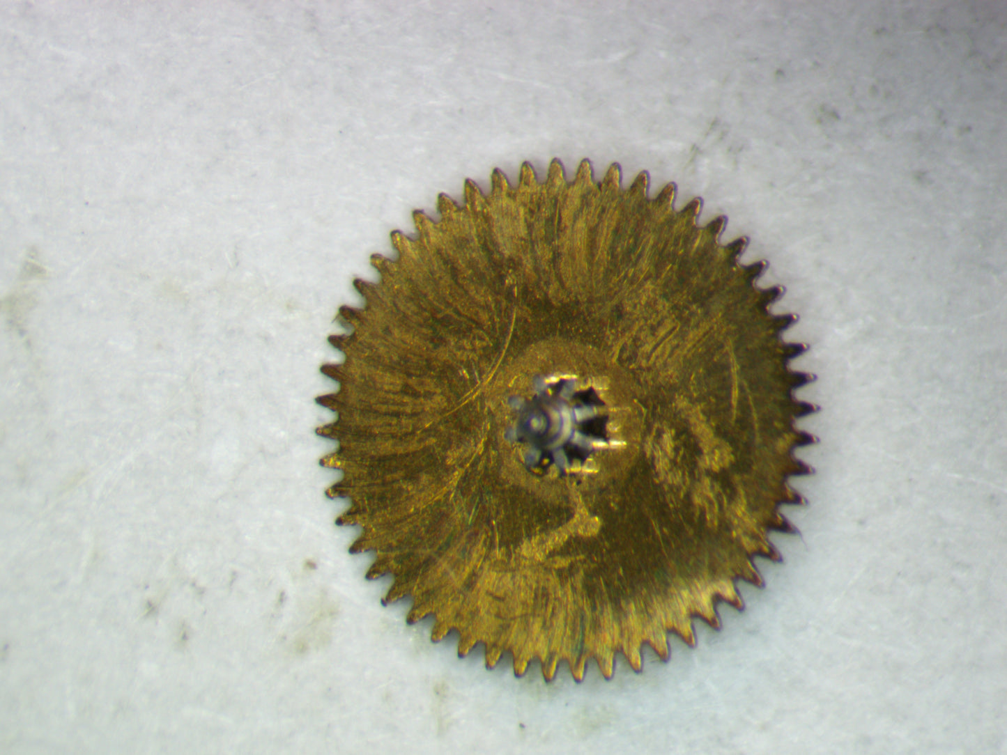 Hamilton 836 1481 Reduction wheel