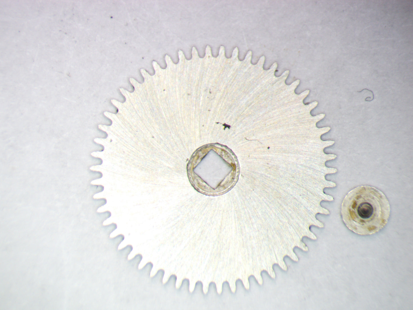 Venus 188 0415 Ratchet wheel w/screw