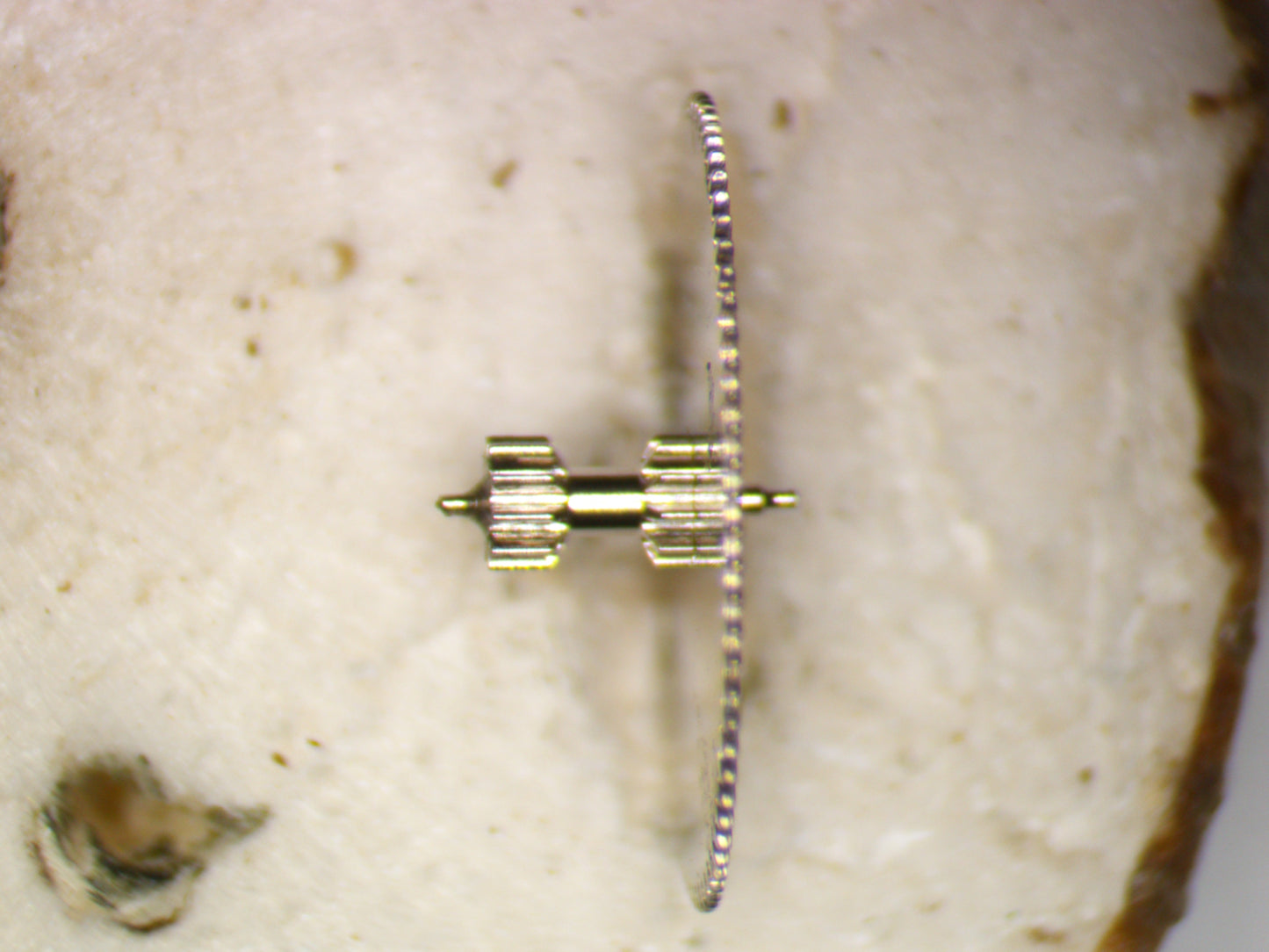 Seiko NH36A 231070 Third Wheel