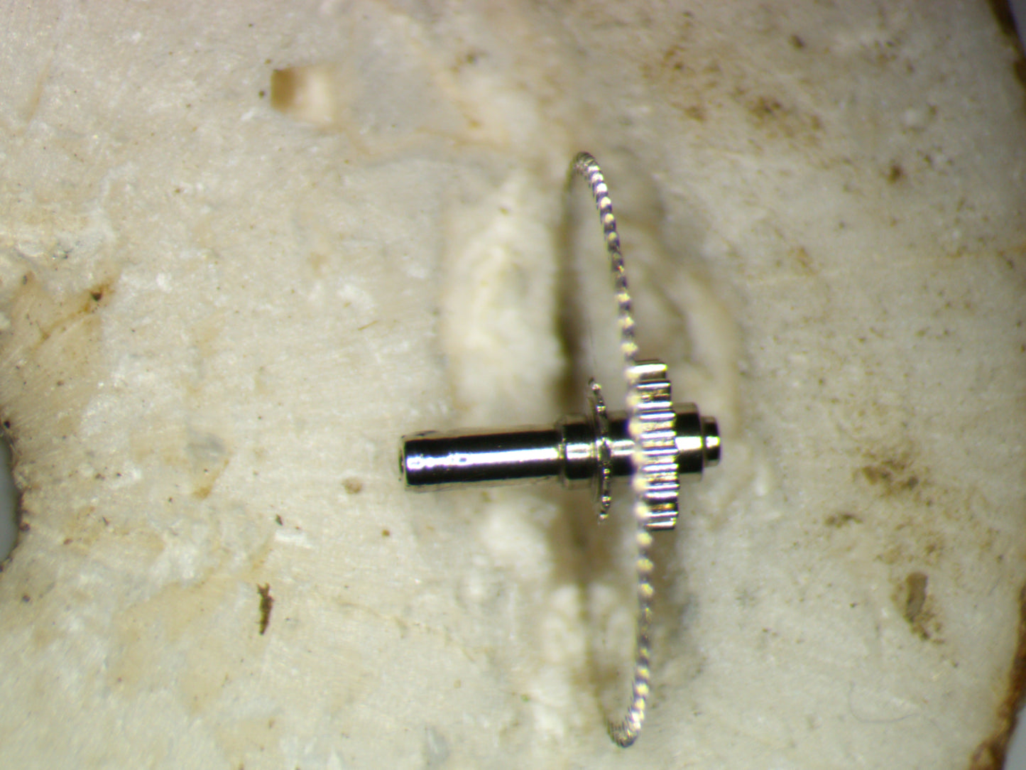 Seiko NH70A 224204 Center Wheel