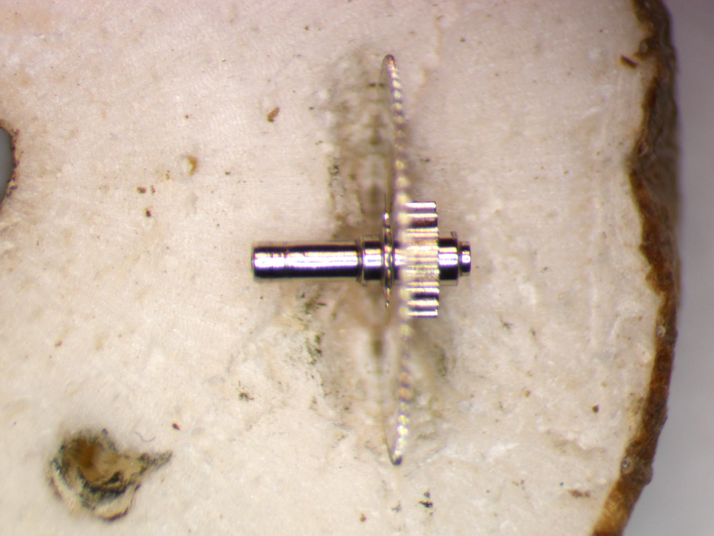 Seiko NH35A 0221183 Center Wheel