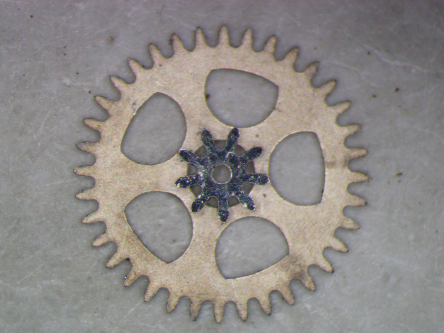 Hamilton 736 0260 Minute wheel