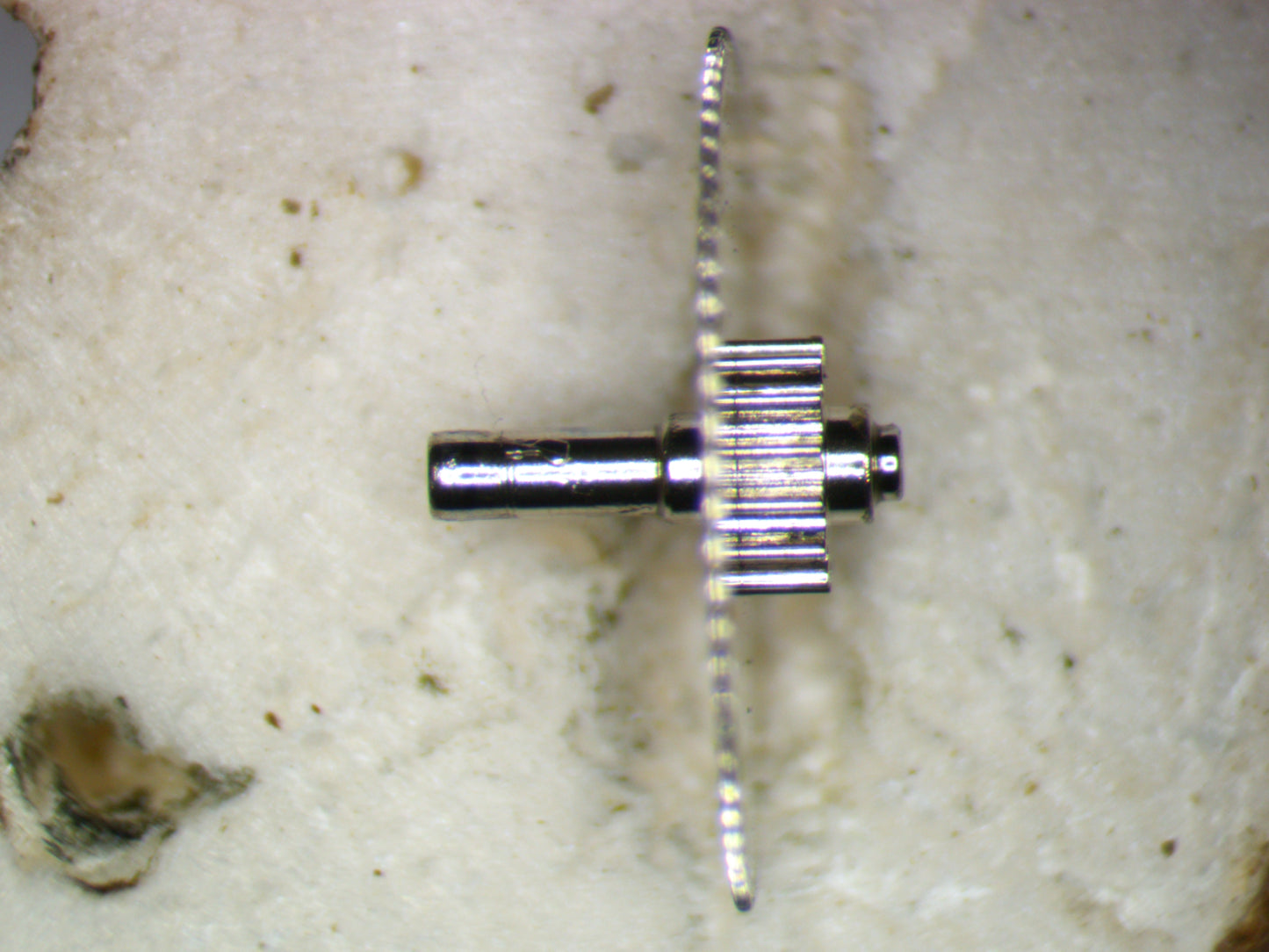 Seiko 7S36C 0224183 Center Wheel