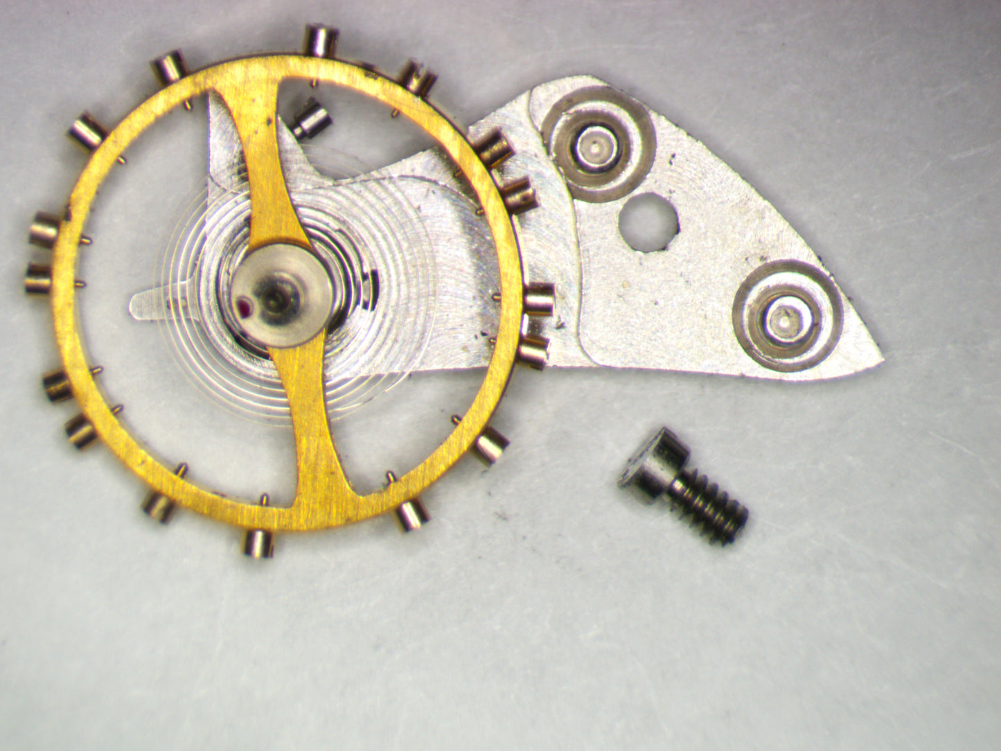 Hamilton 748 0721 Balance Complete w/screw