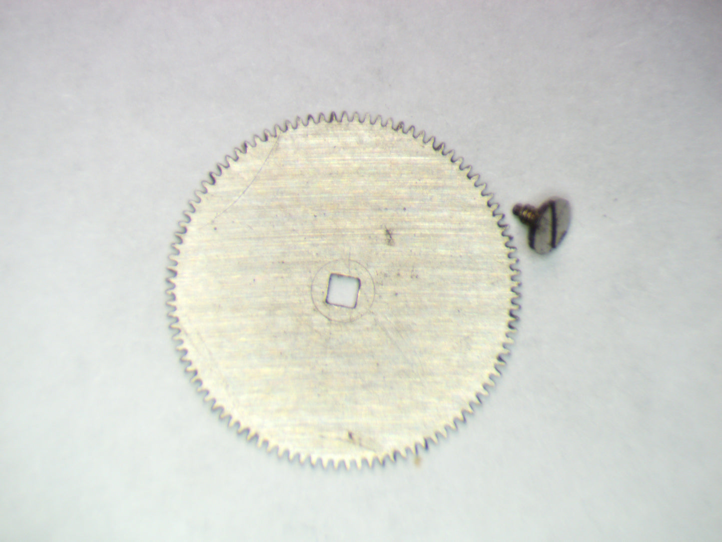 Omega 1012 1100 Ratchet wheel w/screw