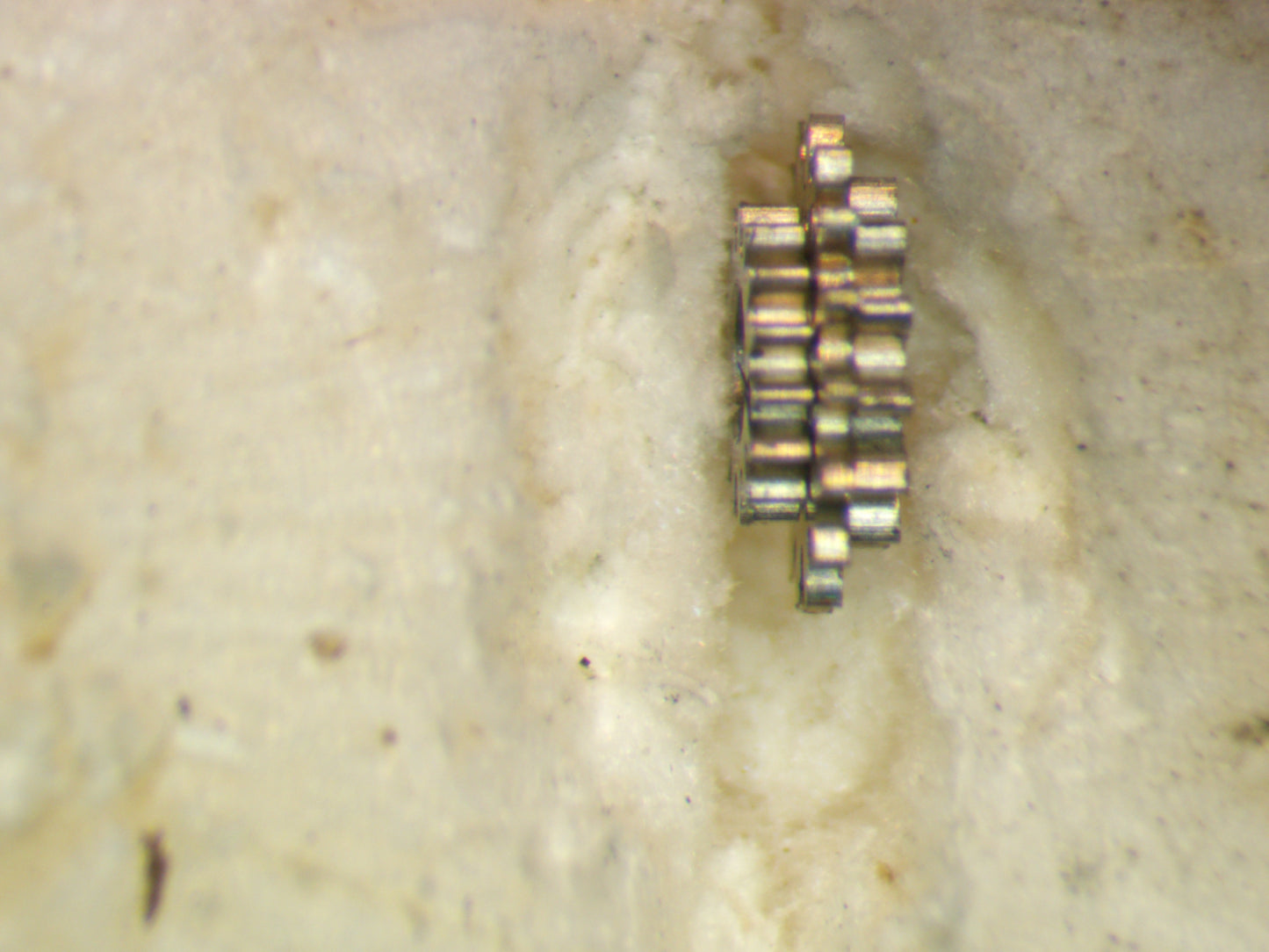 Seiko 6117A 817612 Intermediate date wheel