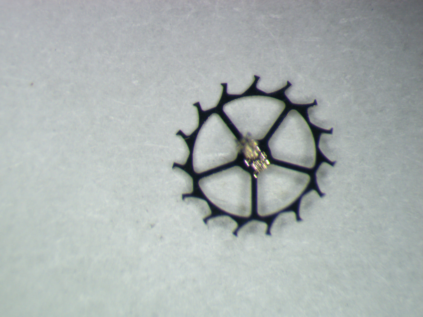 Seiko 4R34 251383 Escape wheel