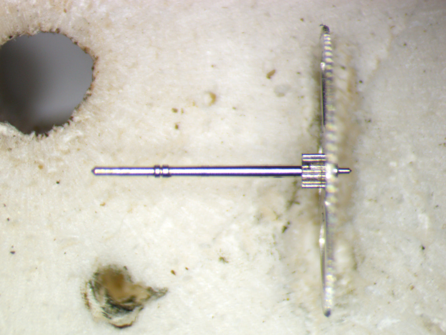 Seiko 7S36C 0241010 Fourth wheel