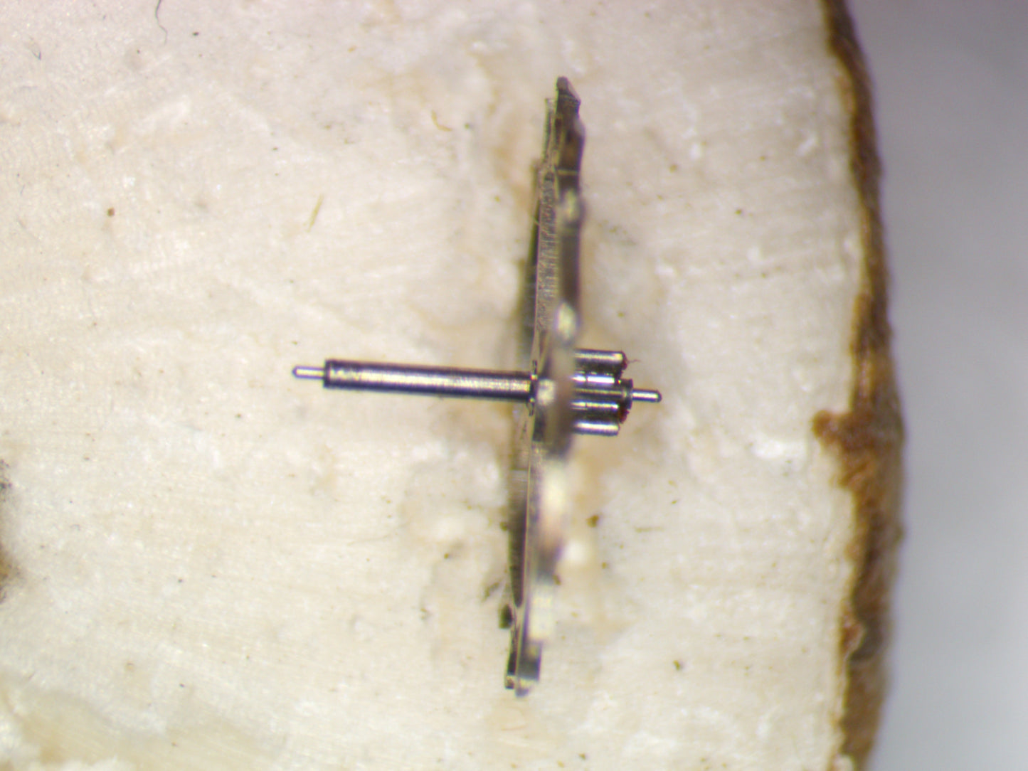 Venus 188 0705 Escape wheel