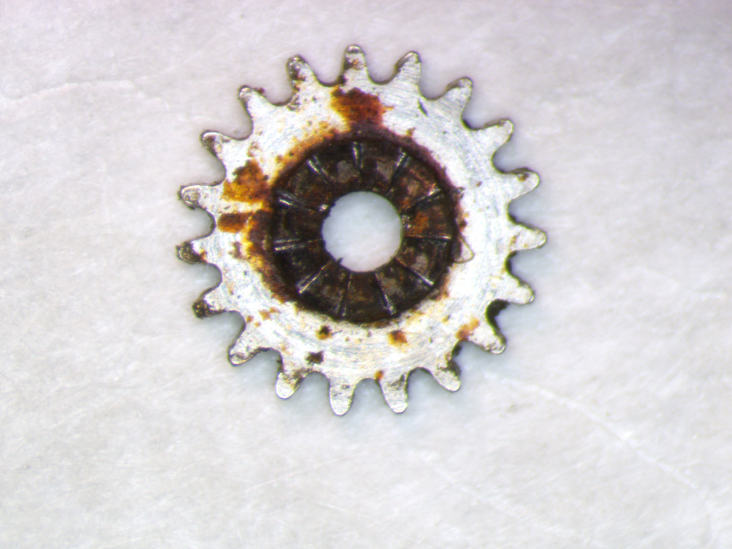 Longines Cal. 5602 0410 Winding pinion