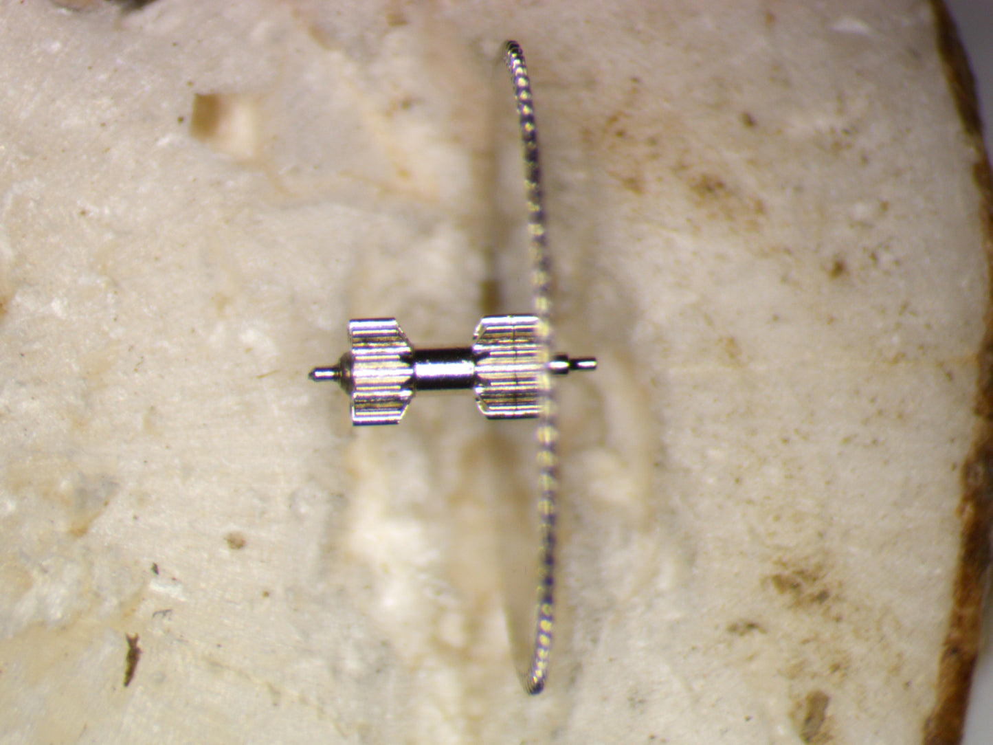 Seiko 4R36 0231070 Third Wheel