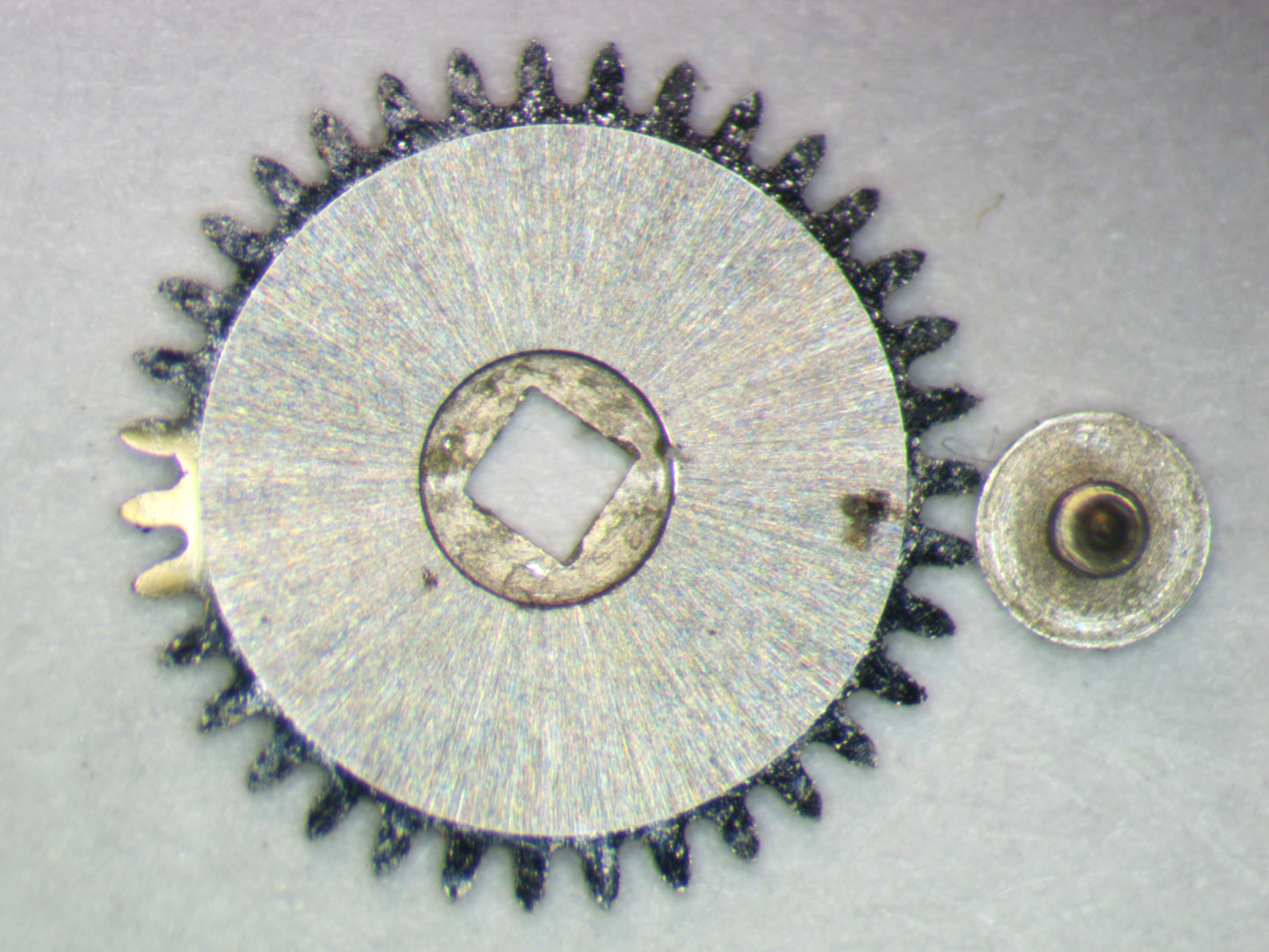 LeCoultre 845 0415 Ratchet wheel w/screw
