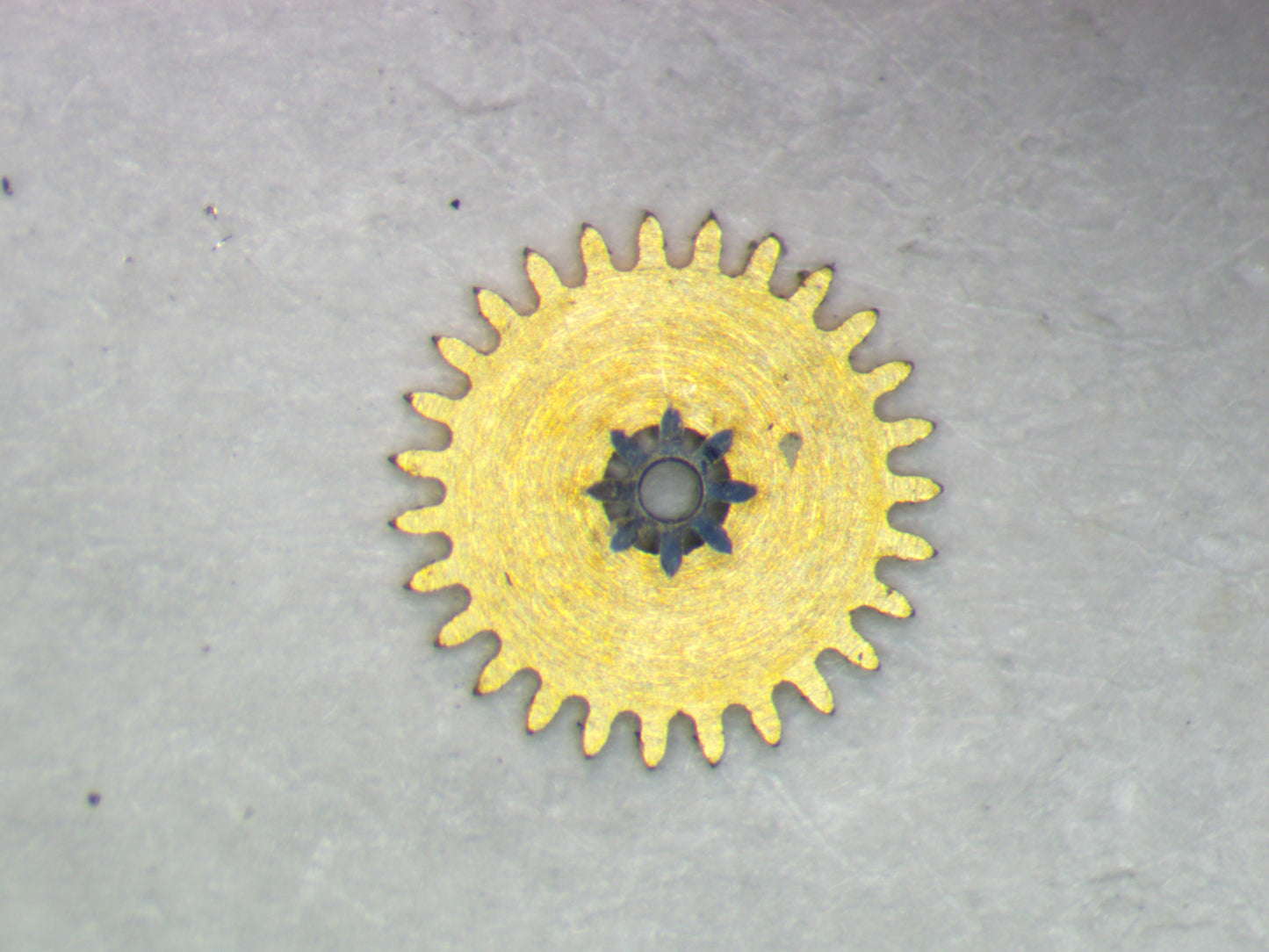 Rolex 1400 0260 Minute wheel