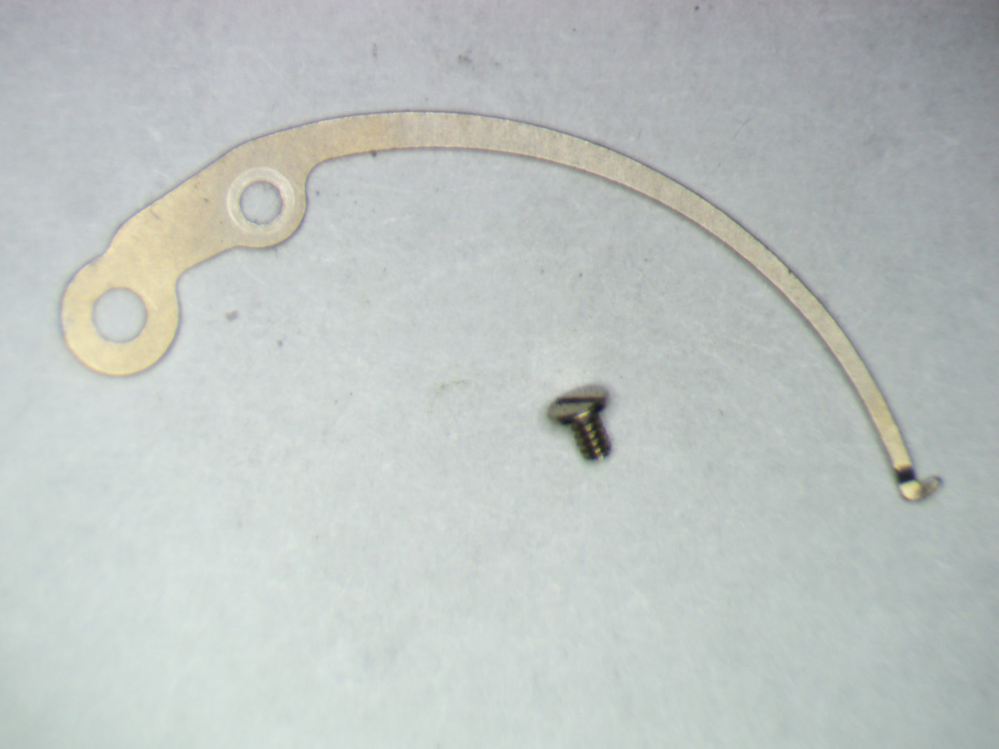 Seiko 6139A 883610 Date corrector spring w/screw