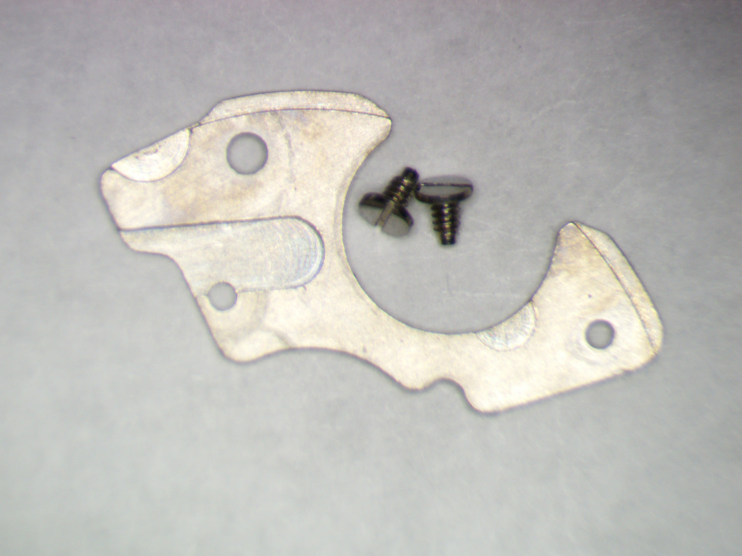 Longines L890.2 2535 Date Indicator Guard Plate w/screws