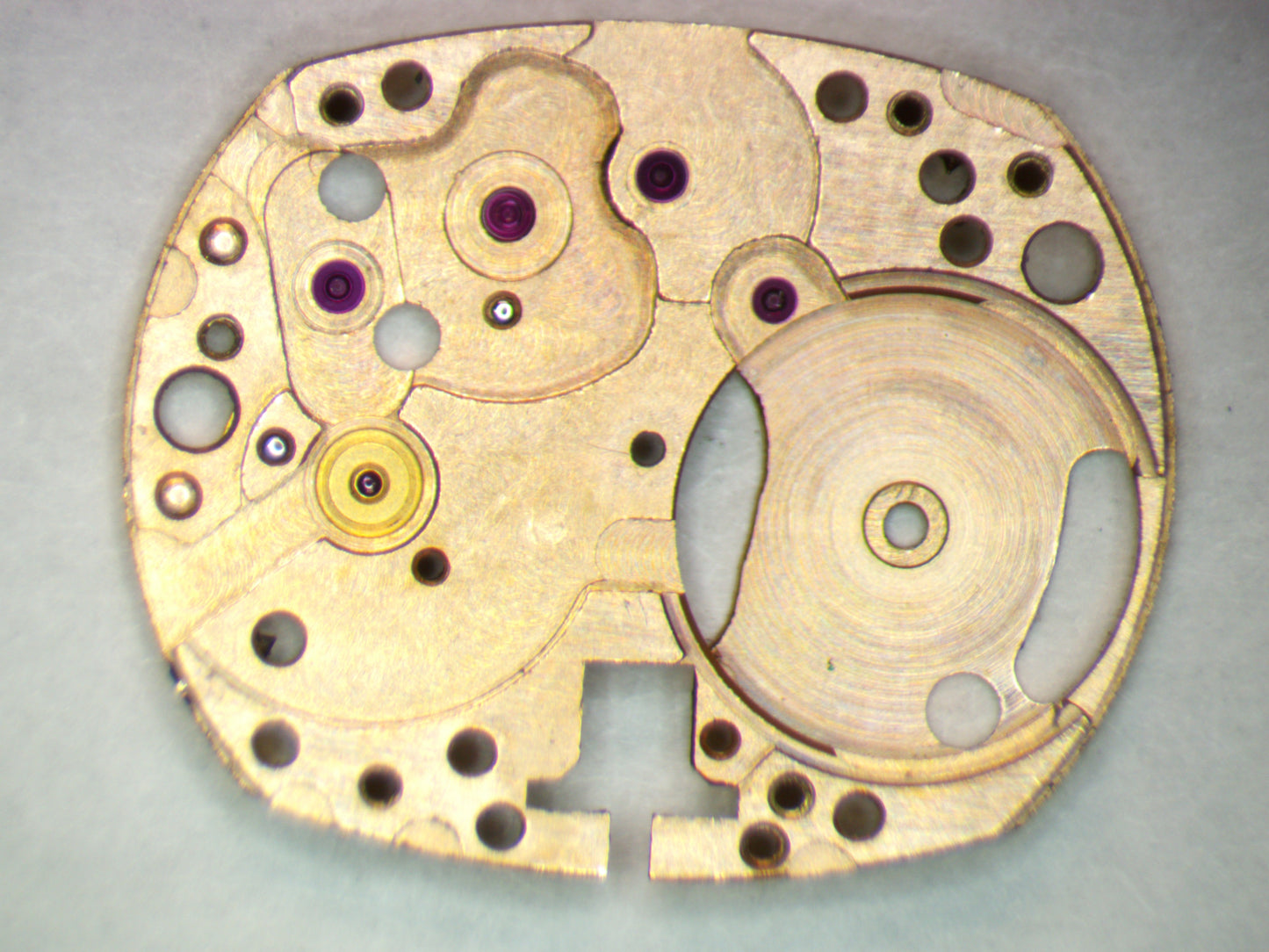 Omega 481 1000 Main Plate
