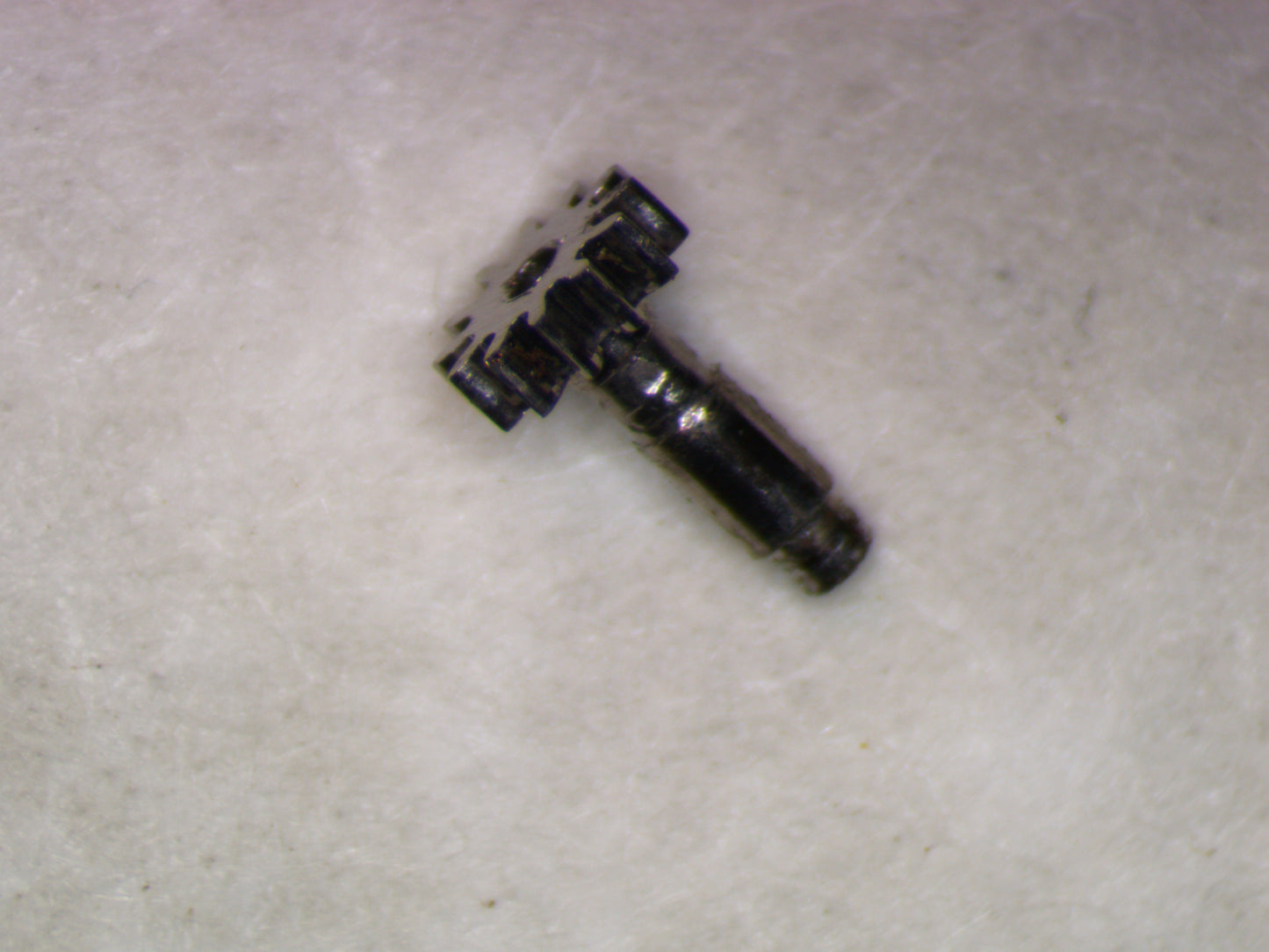 Longines 8LN 0245 Cannon pinion