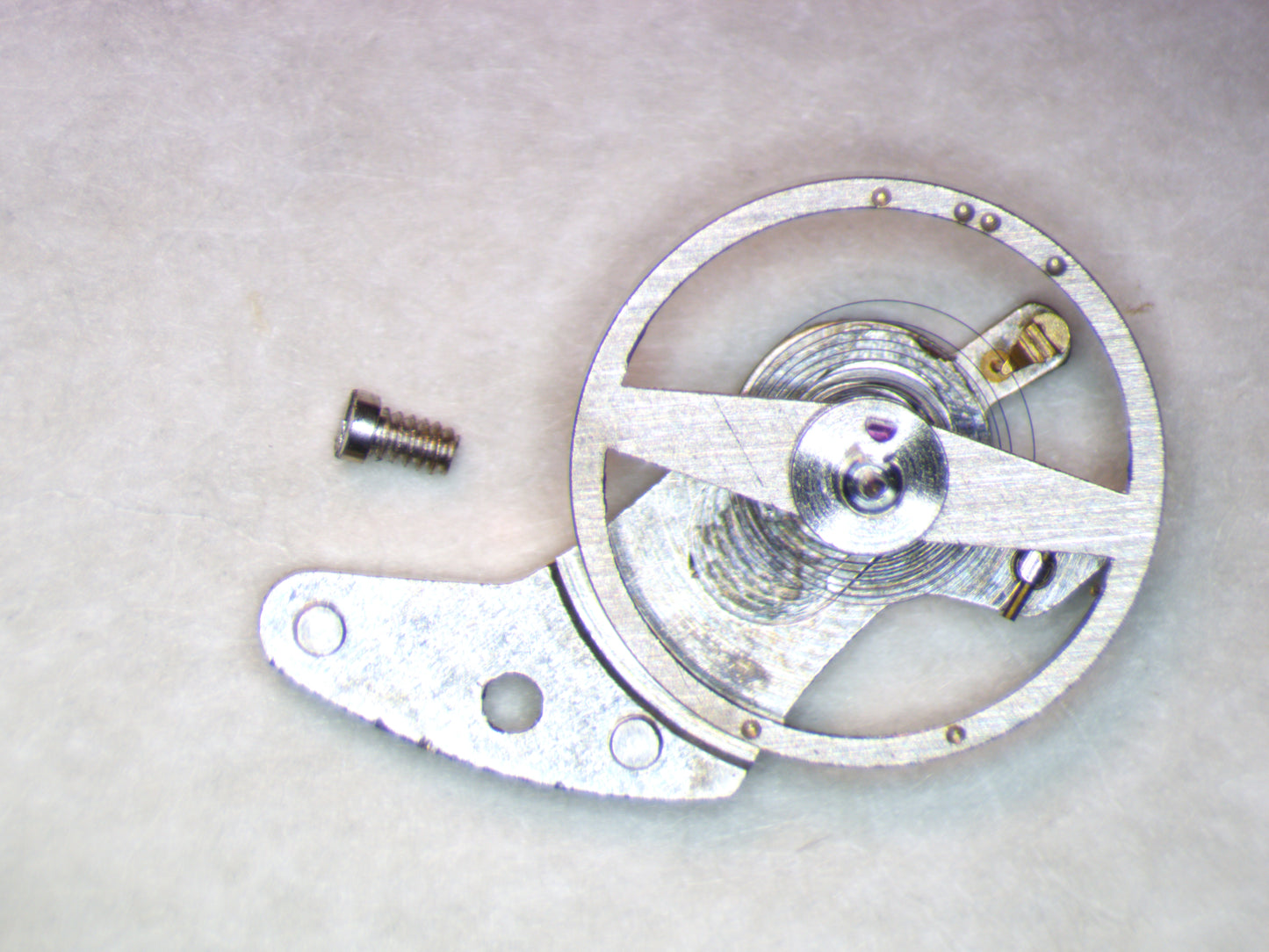 Wittnauer 7SDA1 0721 Balance Complete w/screw