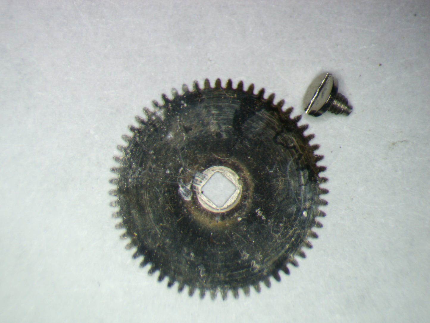 Seiko 6139A 285614 Ratchet wheel w/screw